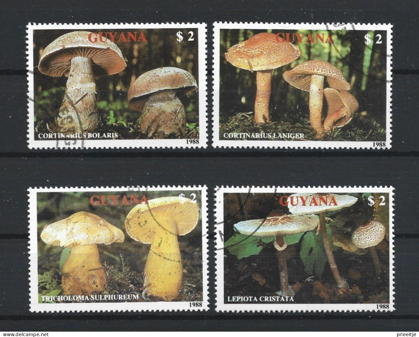 Guyana 1989 Mushrooms Y.T. 2077/2080 (0) - Guyana (1966-...)