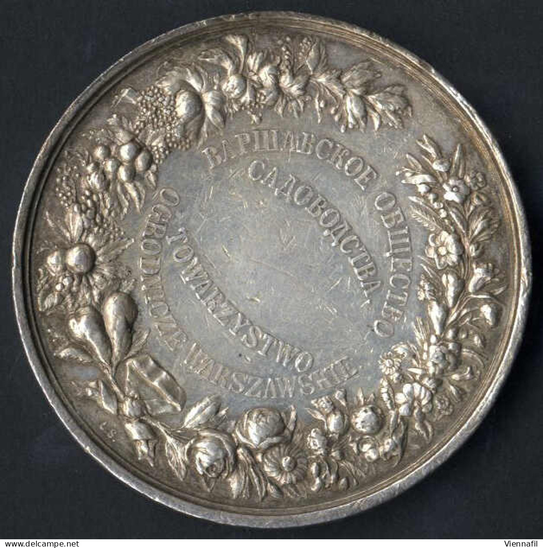 Medaille Der Warschauer Gartenbaugenossenschaft, Gartenbauausstellung Warschau 1895, Silbermedaille Von L. Steinman, Gep - Poland