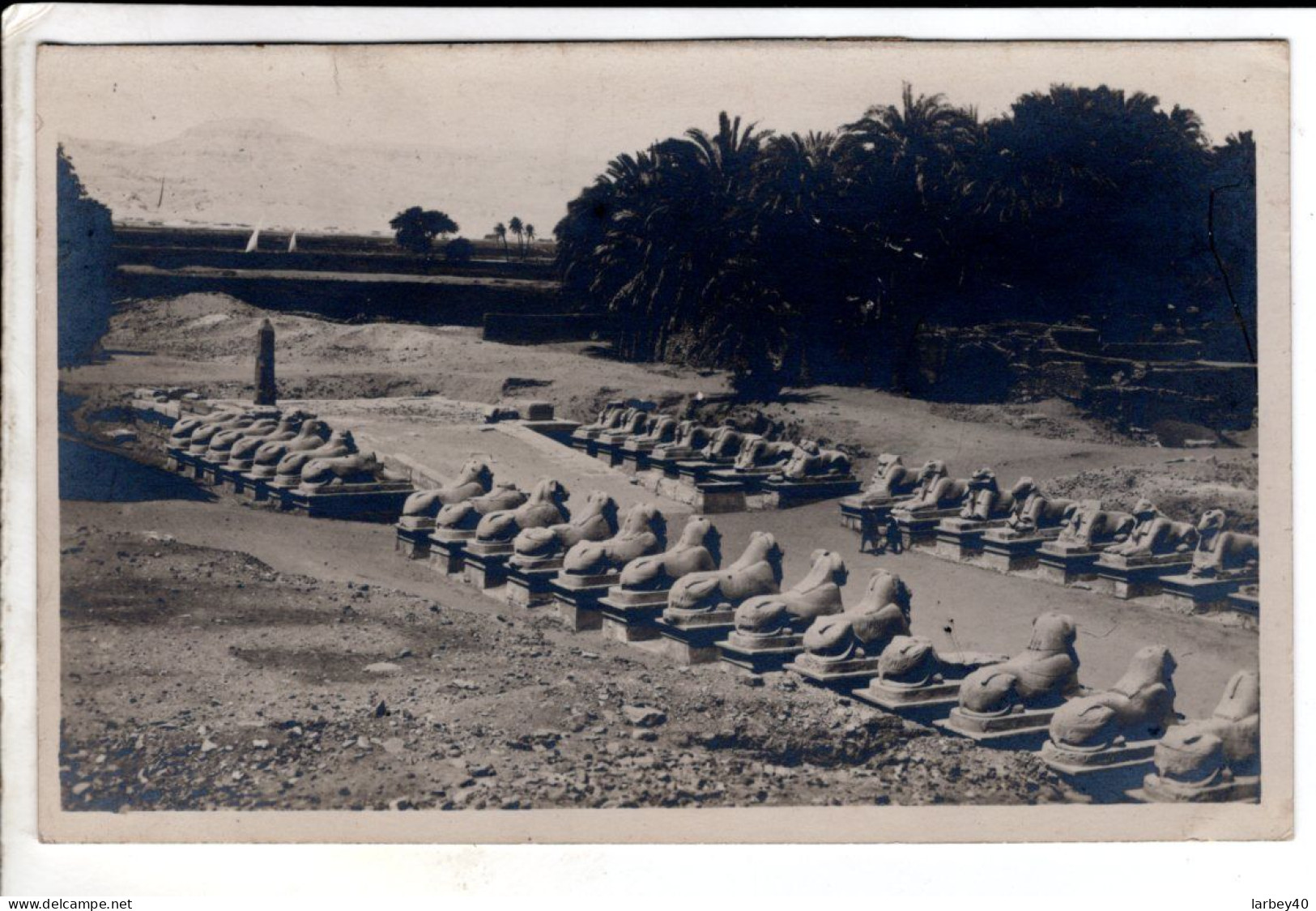 Photo Egypte - 2 Cartes Postales Ancienne - Pyramides