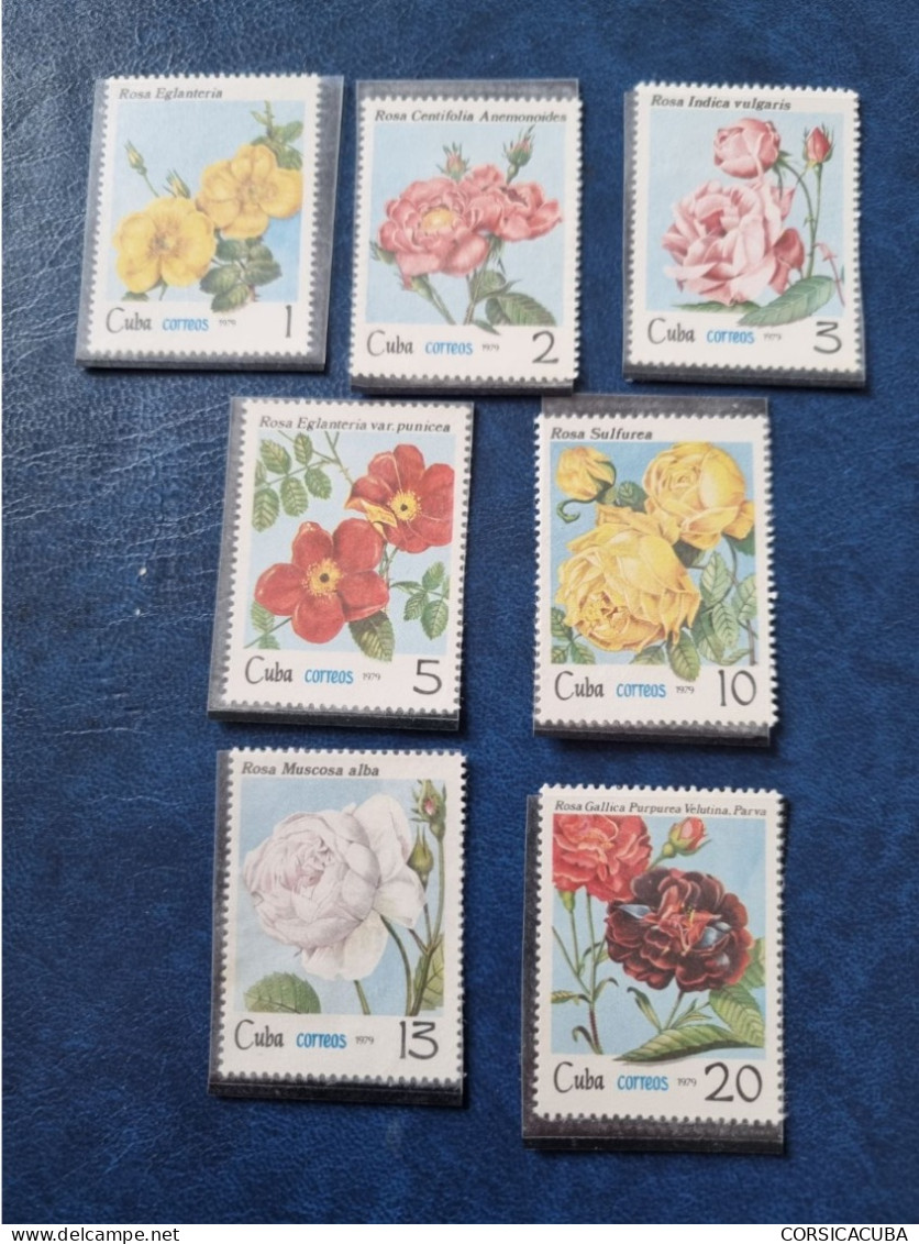 CUBA  NEUF  1979     FLORA. ROSAS  DE  CULTIVO  //  PARFAIT  ETAT  // Sans  Gomme - Unused Stamps