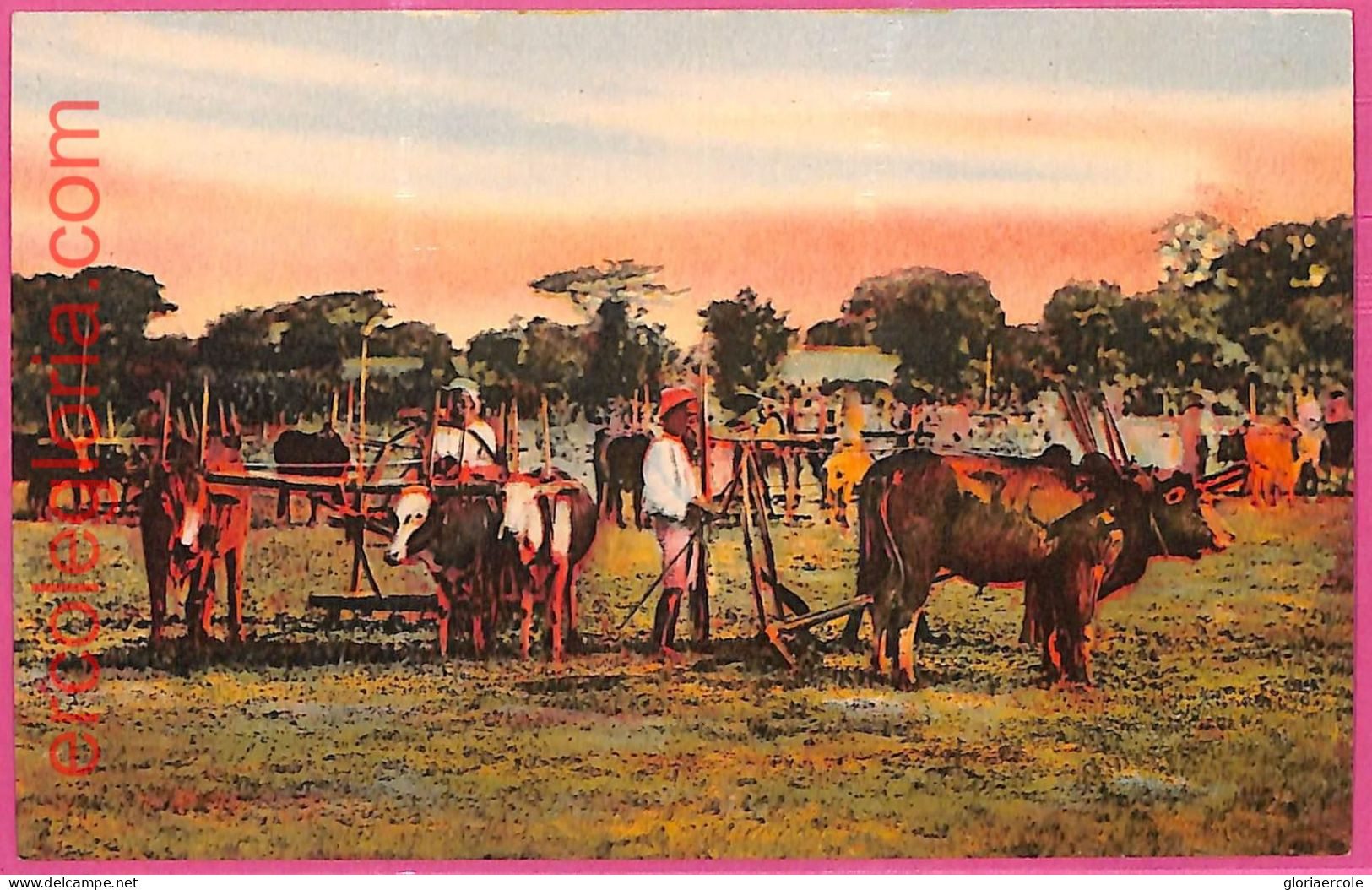 Af9305 - MYANMAR  Burma  -  VINTAGE POSTCARD - Ethnic - Myanmar (Burma)