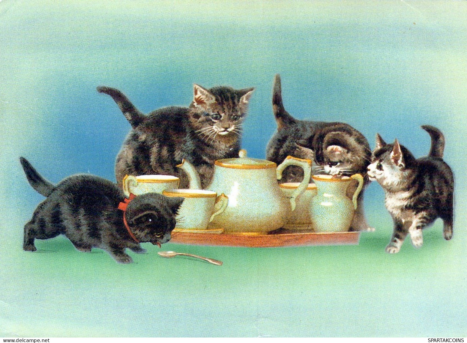 KATZE MIEZEKATZE Tier Vintage Ansichtskarte Postkarte CPSM #PAM480.A