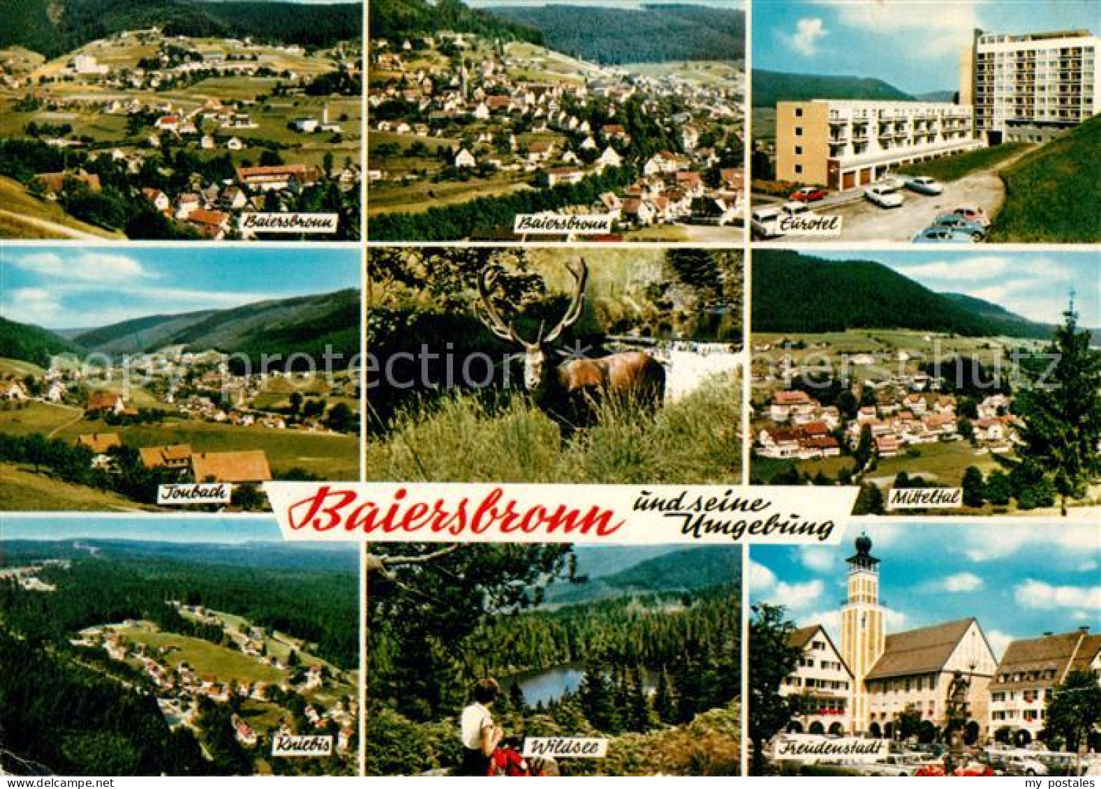 73310225 Baiersbronn Schwarzwald Und Umgebung Eurotel Kurhotel Wildsee Hirsch Ba - Baiersbronn