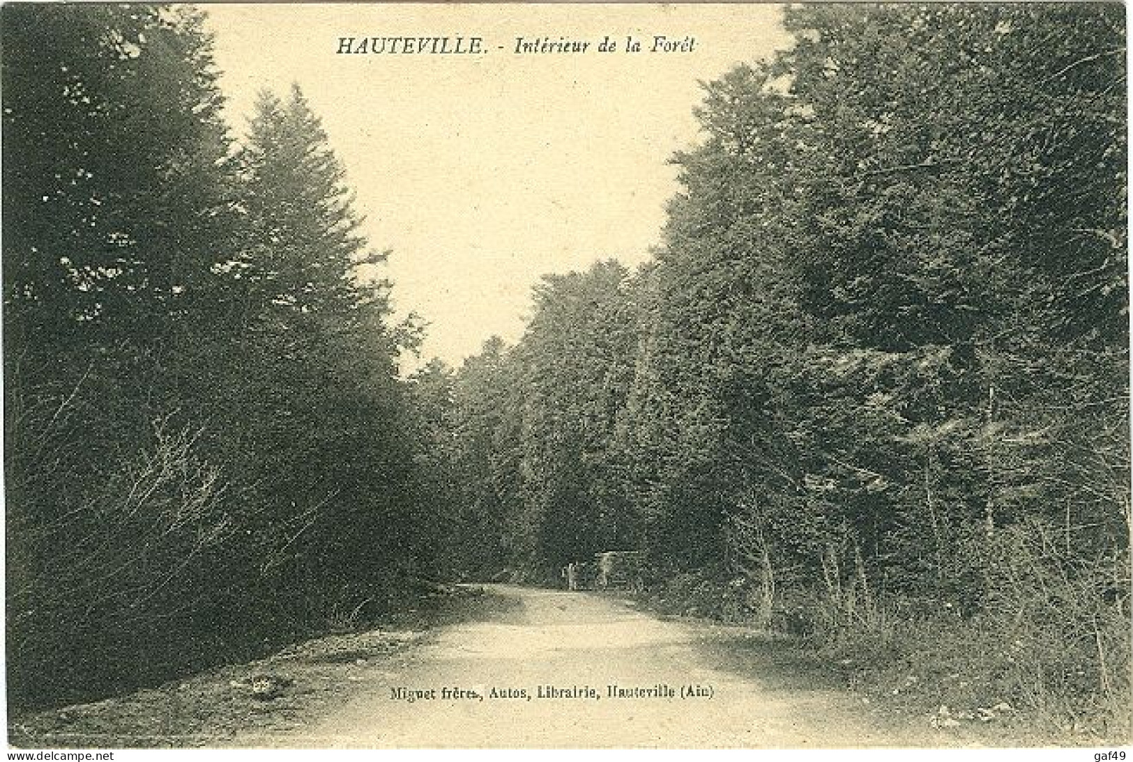 Carte Postale Hauteville Intérieur De La Forêt. A Circulé Sous Enveloppe - Hauteville-Lompnes