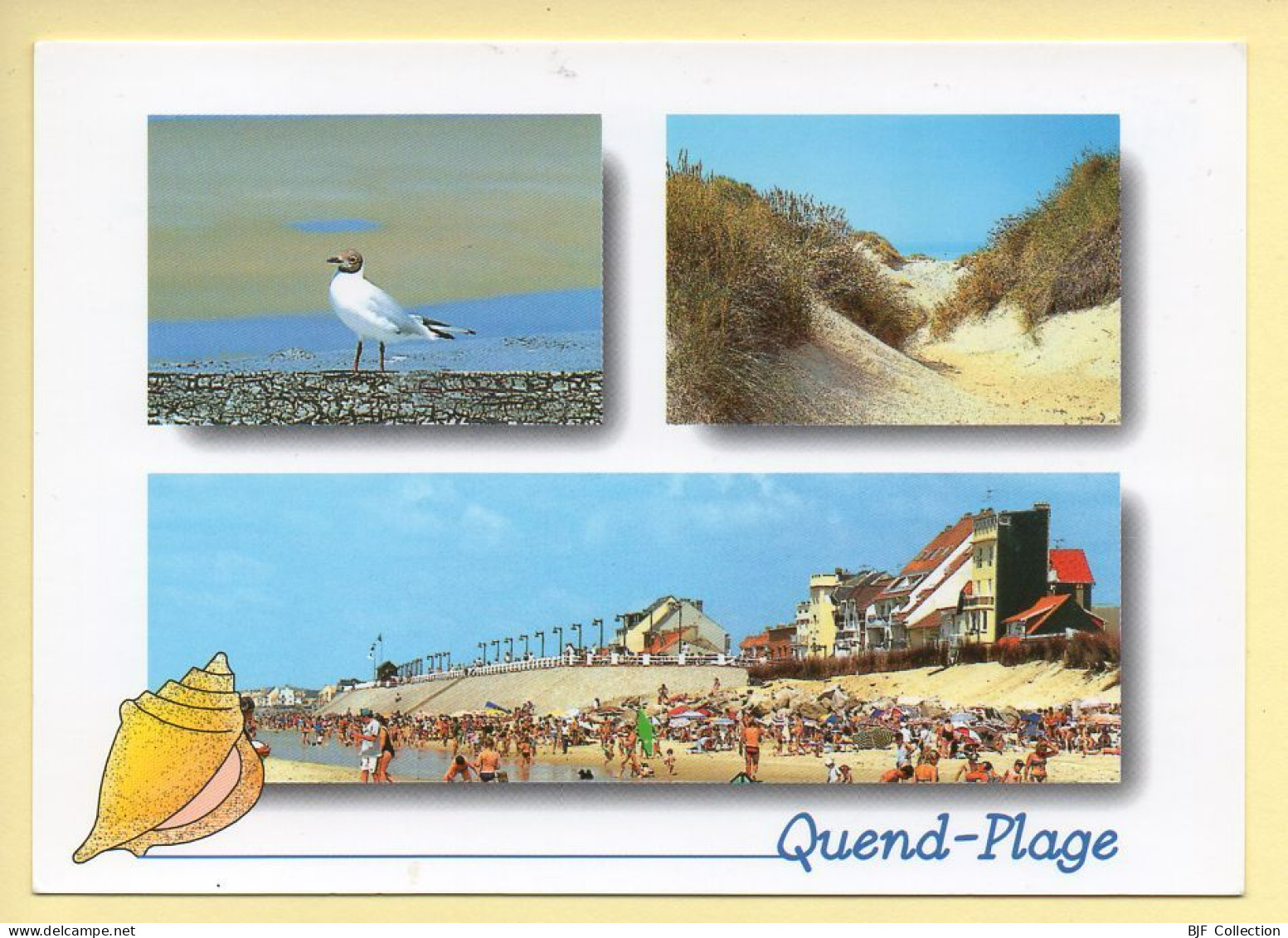 80. QUEND-PLAGE –  3 Vues – Mouette / Dune / Plage (animée) (voir Scan Recto/verso) - Quend