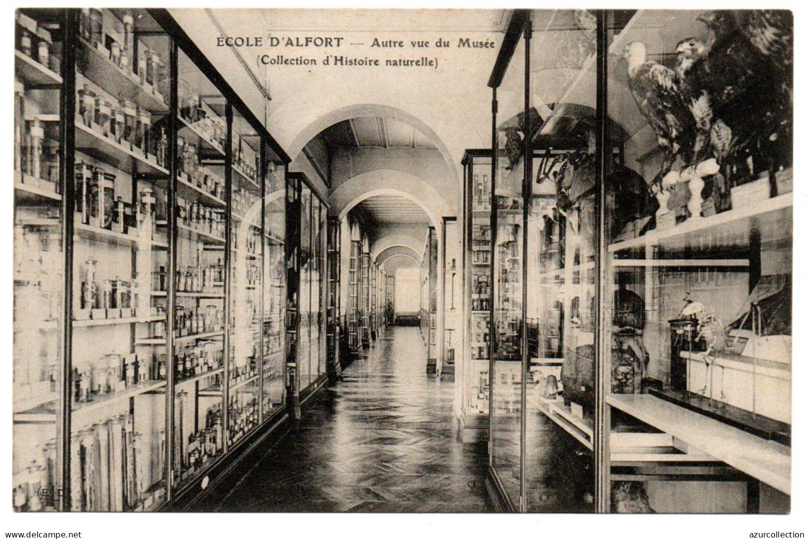 Ecole Nationale Vétérinaire. Autre Vue Du Musée - Maisons Alfort