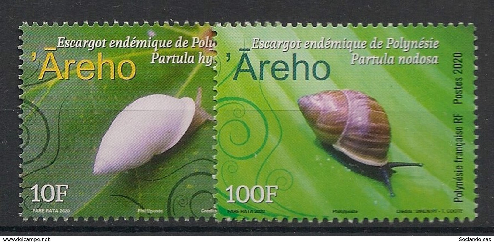 POLYNESIE - 2020 - N°YT. 1236 à 1237 - Escargots - Neuf Luxe ** / MNH / Postfrisch - Neufs