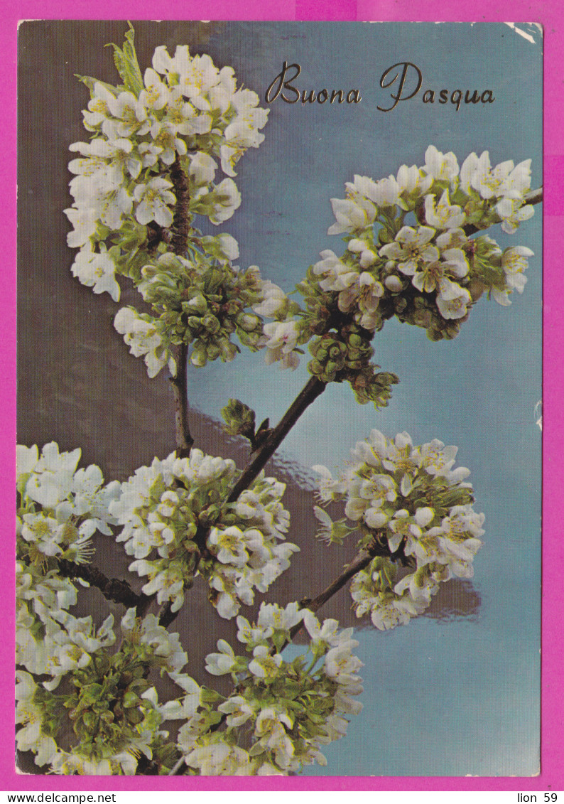 293848 / Italy - Buona Pasqua Happy Easter PC 1984 Bari - Palese USED - 300 L Castello Normanno Svevo Bari - 1981-90: Marcophilia