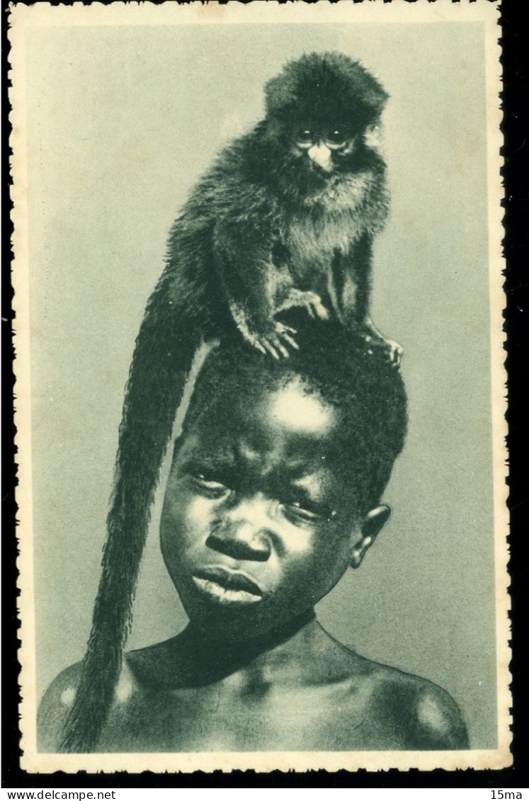 Congo Deux Bons Amis Ils Ont Bien Consenti à Se Laisser Photographier LESCUYER - Congo Français