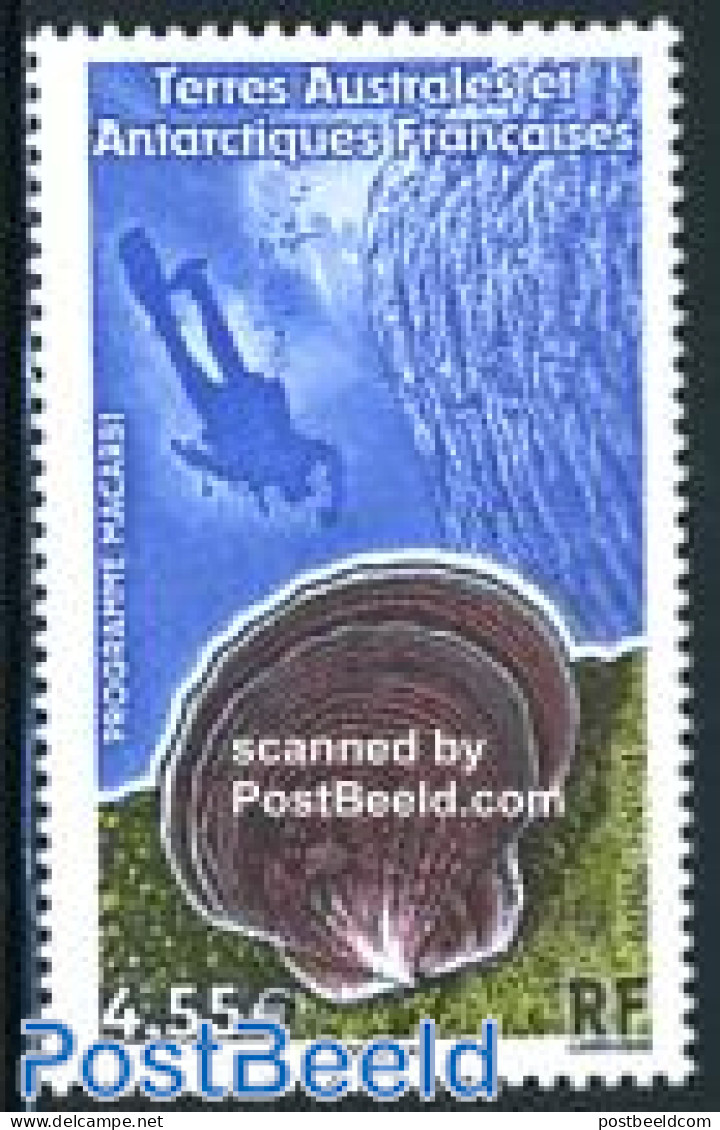 French Antarctic Territory 2009 Macarbi Programme 1v, Mint NH, Nature - Sport - Shells & Crustaceans - Diving - Unused Stamps