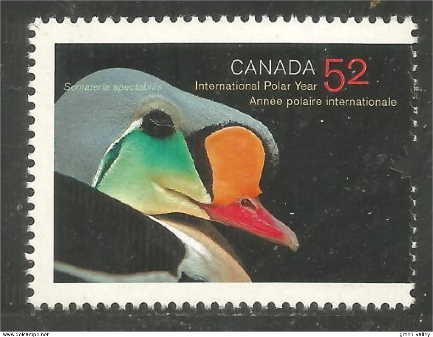 Canada Année Polaire Polar Year Male King Eider MNH ** Neuf SC (C22-04b) - Internationale Pooljaar