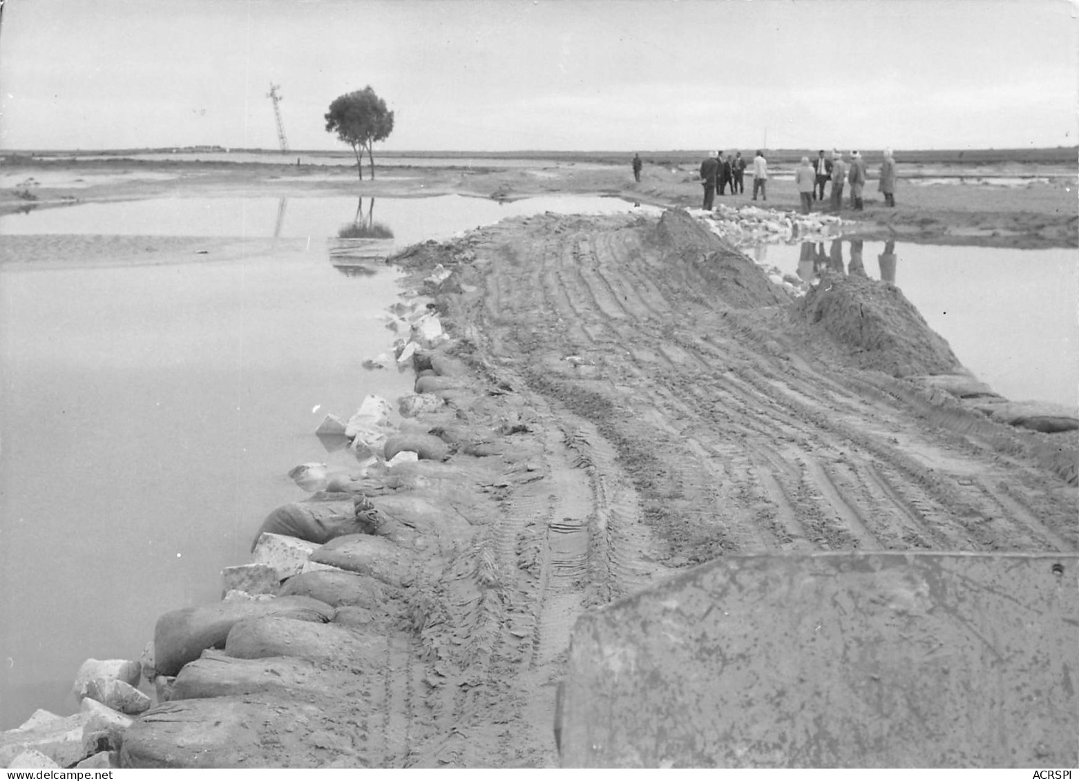 CONGO Belge Kilo Moto Inspection  Construction D'une Route Carte Photo Scans R/V) N° 37 \MO7011 - Belgian Congo