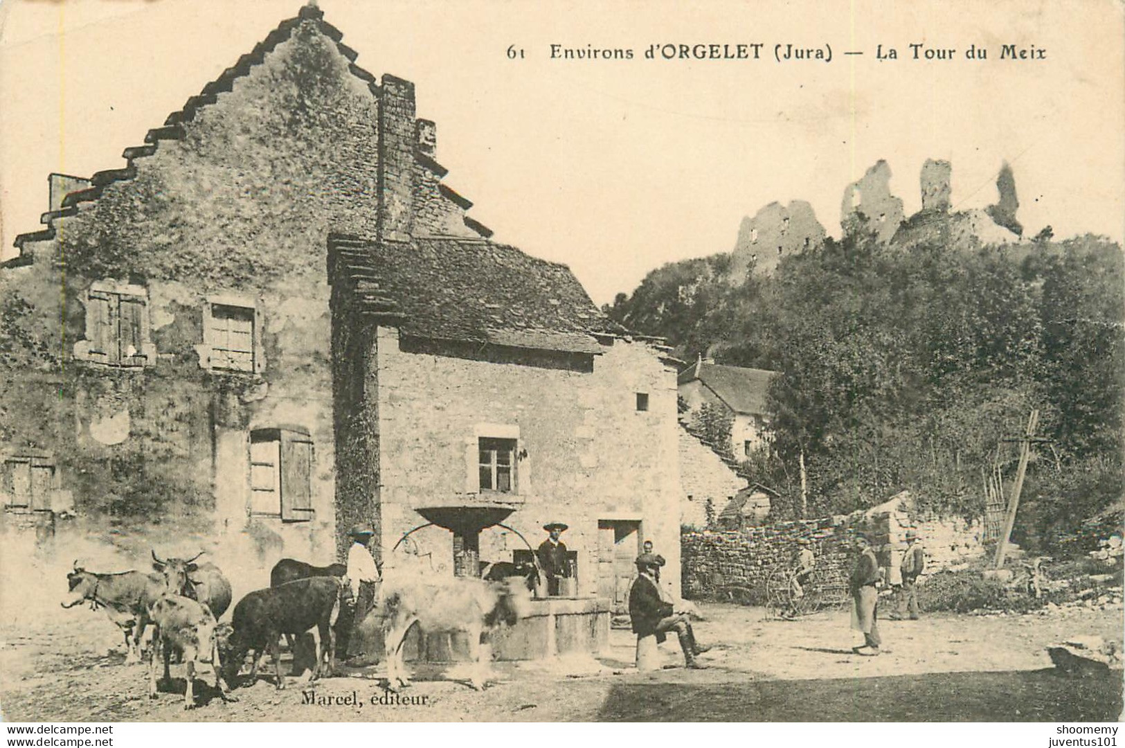 CPA Environs D'Orgelet-La Tour Du Meix   L1440 - Orgelet