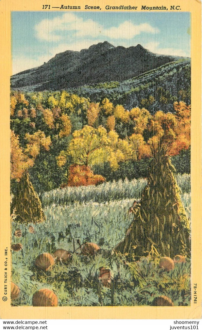 CPA Autumn Scene,Grandfather Mountain      L1210 - Sonstige & Ohne Zuordnung