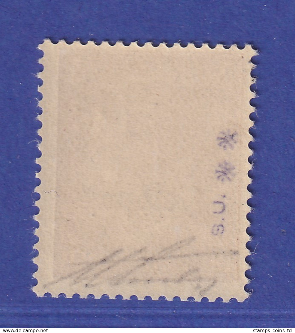 Dt. Reich 1945 Luft-Feldpostmarke Ruhrkessel Mi.-Nr. 17y Postfrisch ** - Feldpost World War II