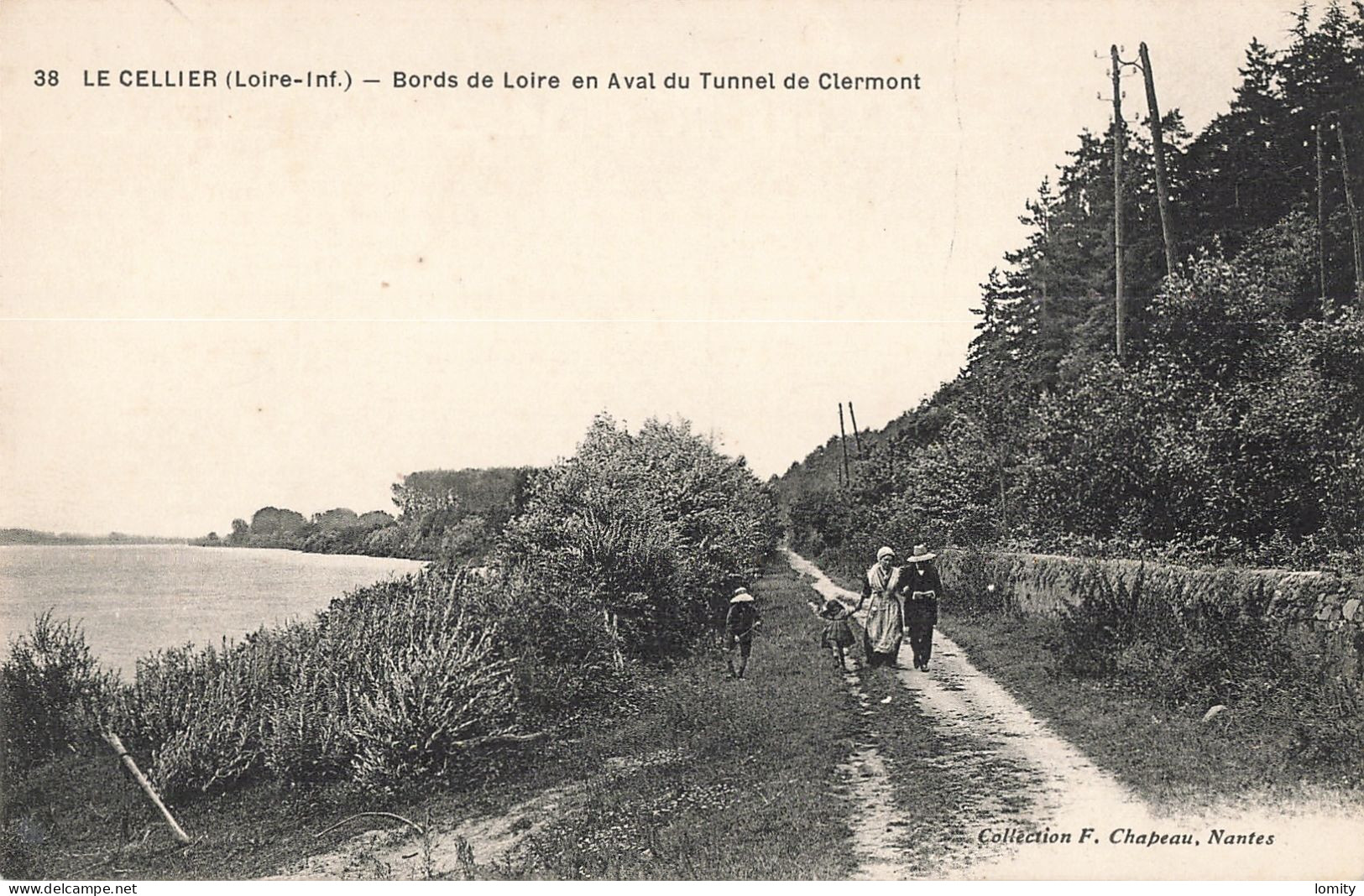 44 Le Cellier Bords De Loire En Aval Du Tunnel De Clermont CPA - Le Cellier