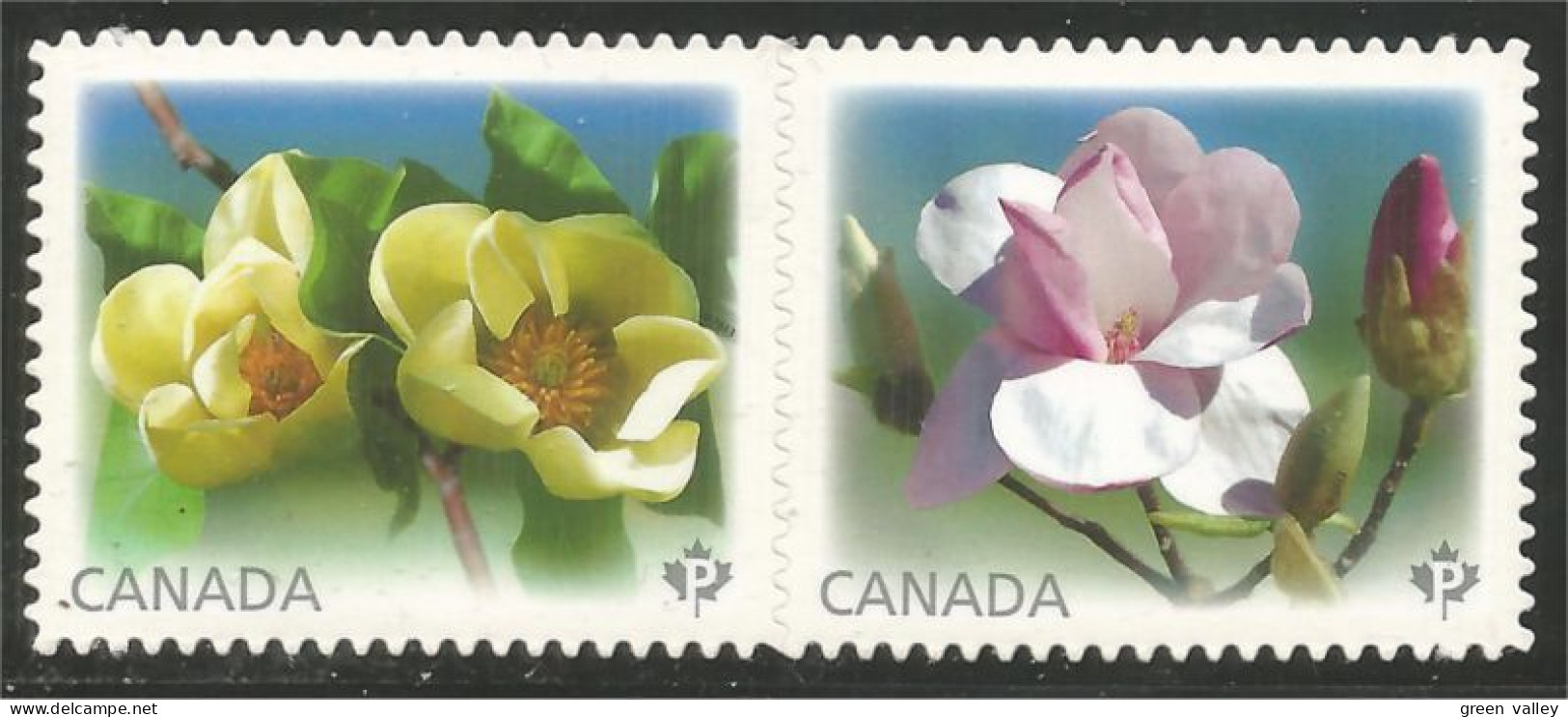 Canada Magnolias Se-tenant Carnet Booklet Annual Collection Annuelle MNH ** Neuf SC (C26-25ib) - A Systèmes