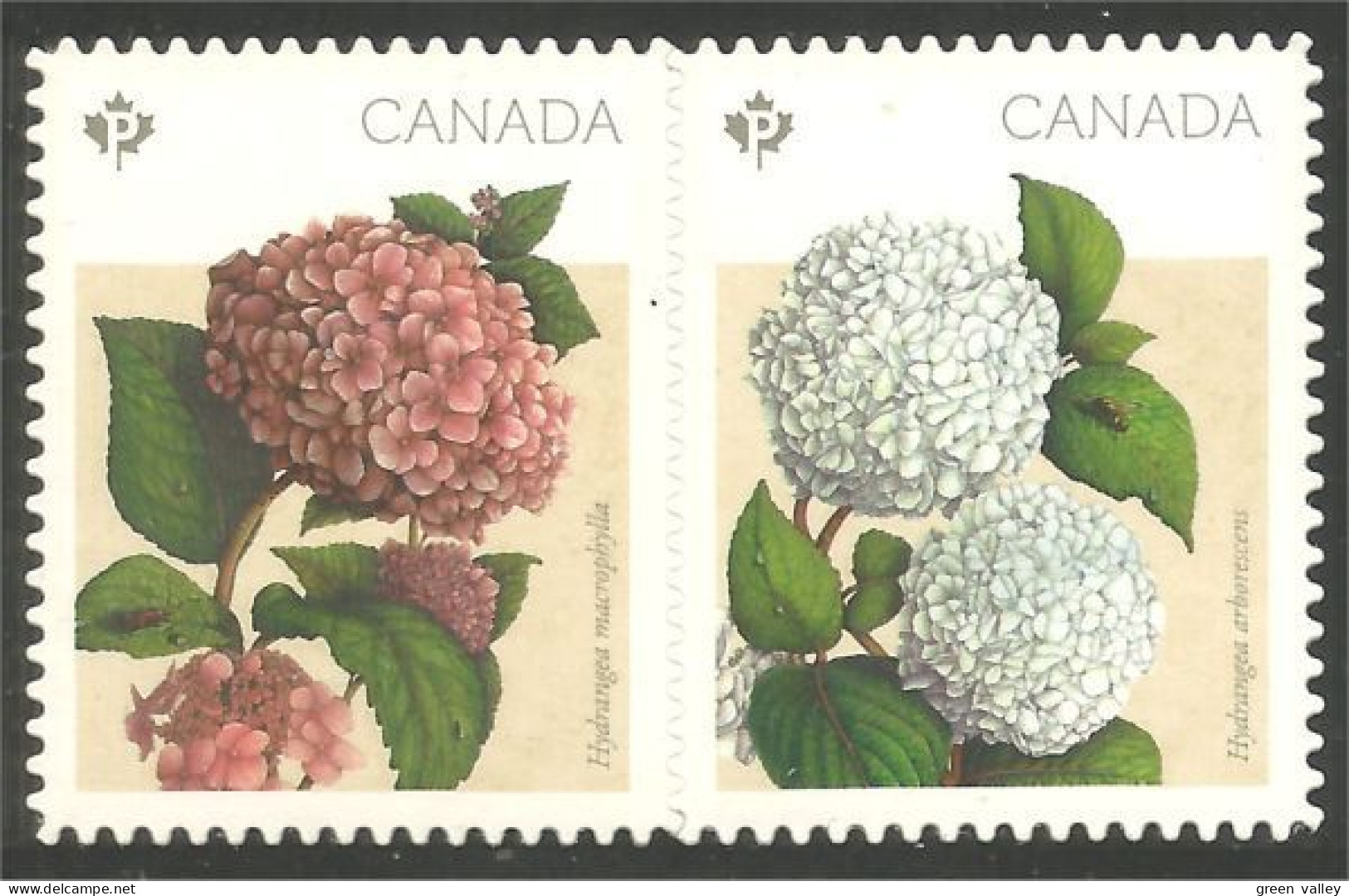 Canada Hydrangées Hydrangeas Annual Collection Annuelle MNH ** Neuf SC (C29-00iii) - Ungebraucht