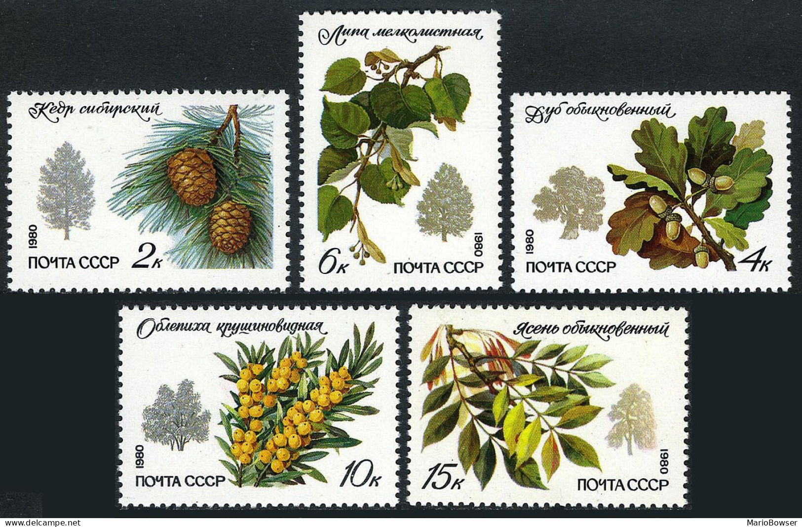 Russia 4871-4875, MNH. Mi 5002-5006. Tree 1980. Siberian Pine,Oak, Lime Tree,Ash - Ungebraucht