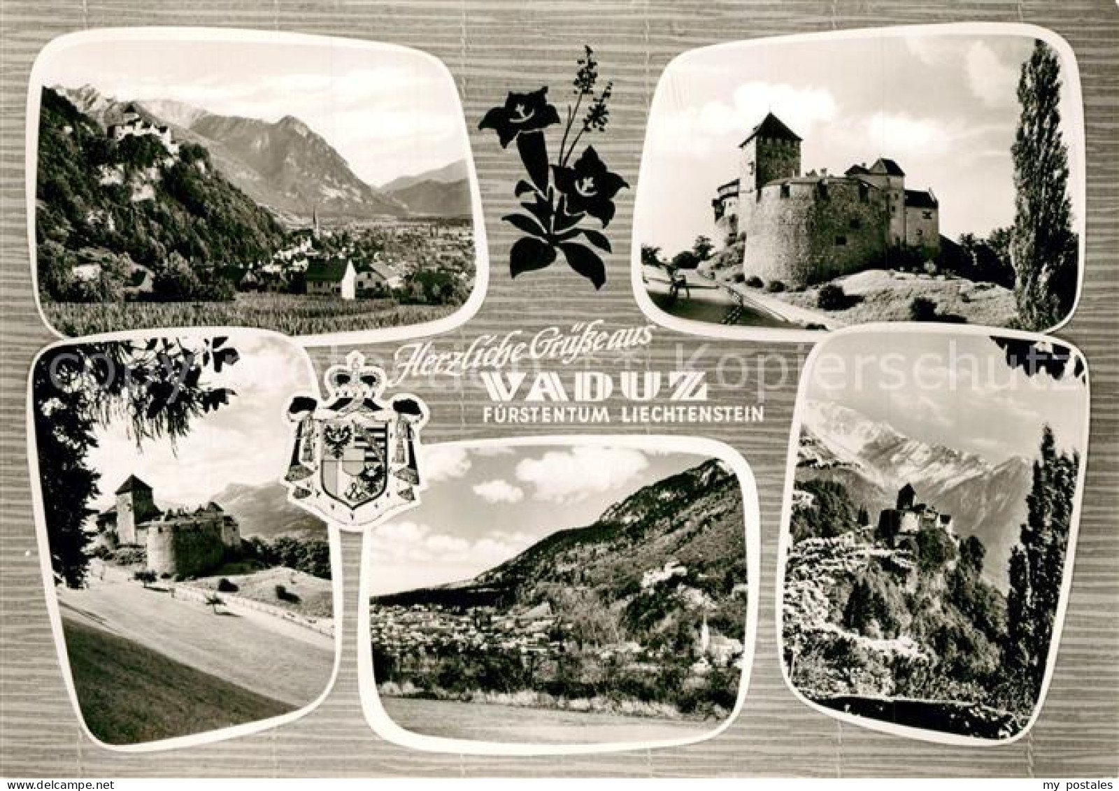 73275062 Vaduz Schloss  Vaduz - Liechtenstein