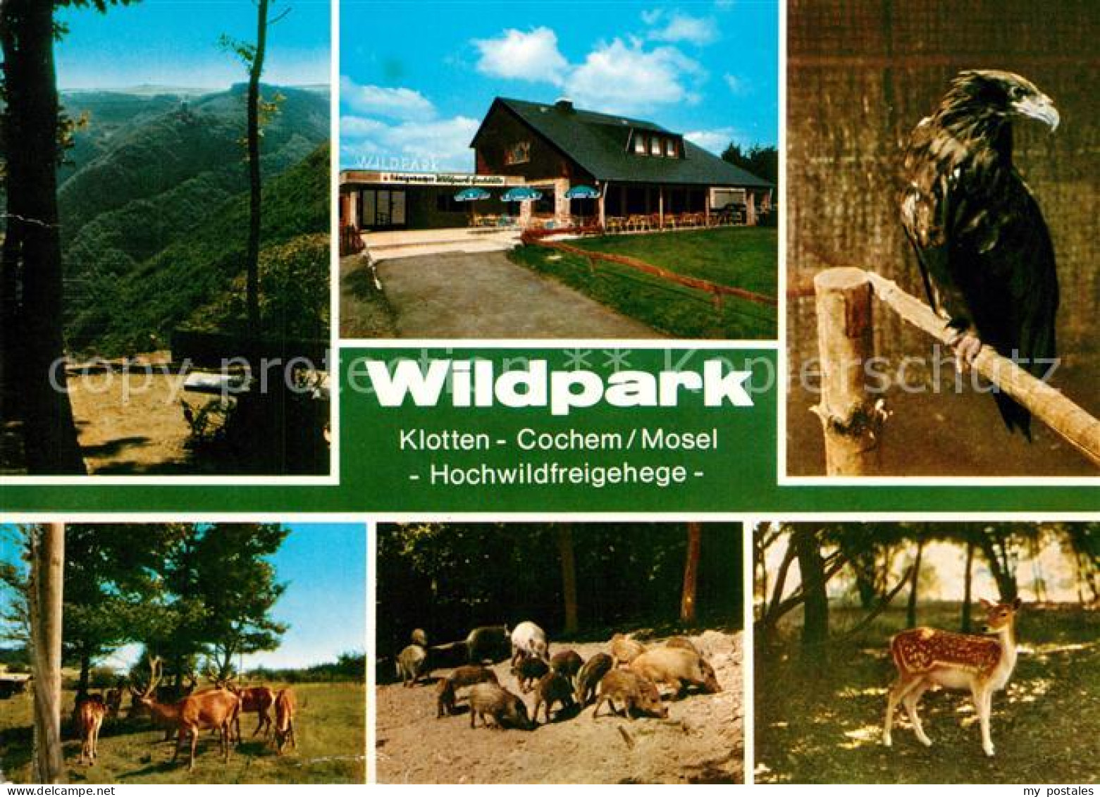 73272547 Cochem Mosel Wildpark Klotten Hochwildfreigehege Cochem Mosel - Cochem