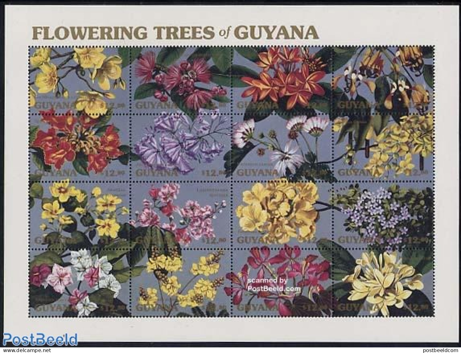 Guyana 1990 Flowering Trees 12v M/s, Mint NH, Nature - Flowers & Plants - Trees & Forests - Rotary, Lions Club