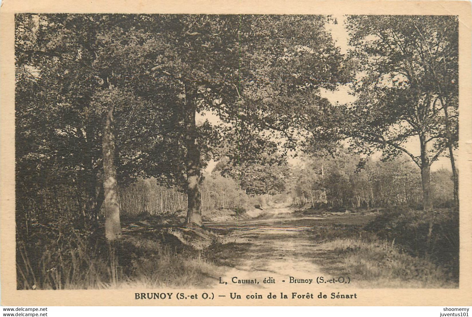 CPA Brunoy-Un Coin De La Forêt De Sénart      L1093 - Brunoy