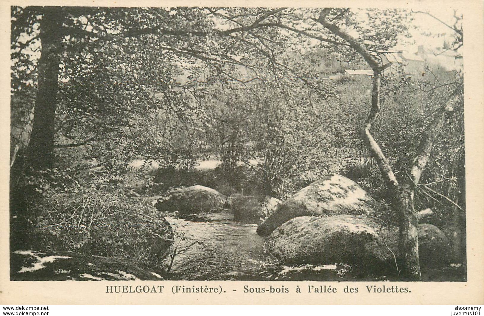 CPA Huelgoat-Sous Bois à L'allée Des Violettes     L1505 - Huelgoat