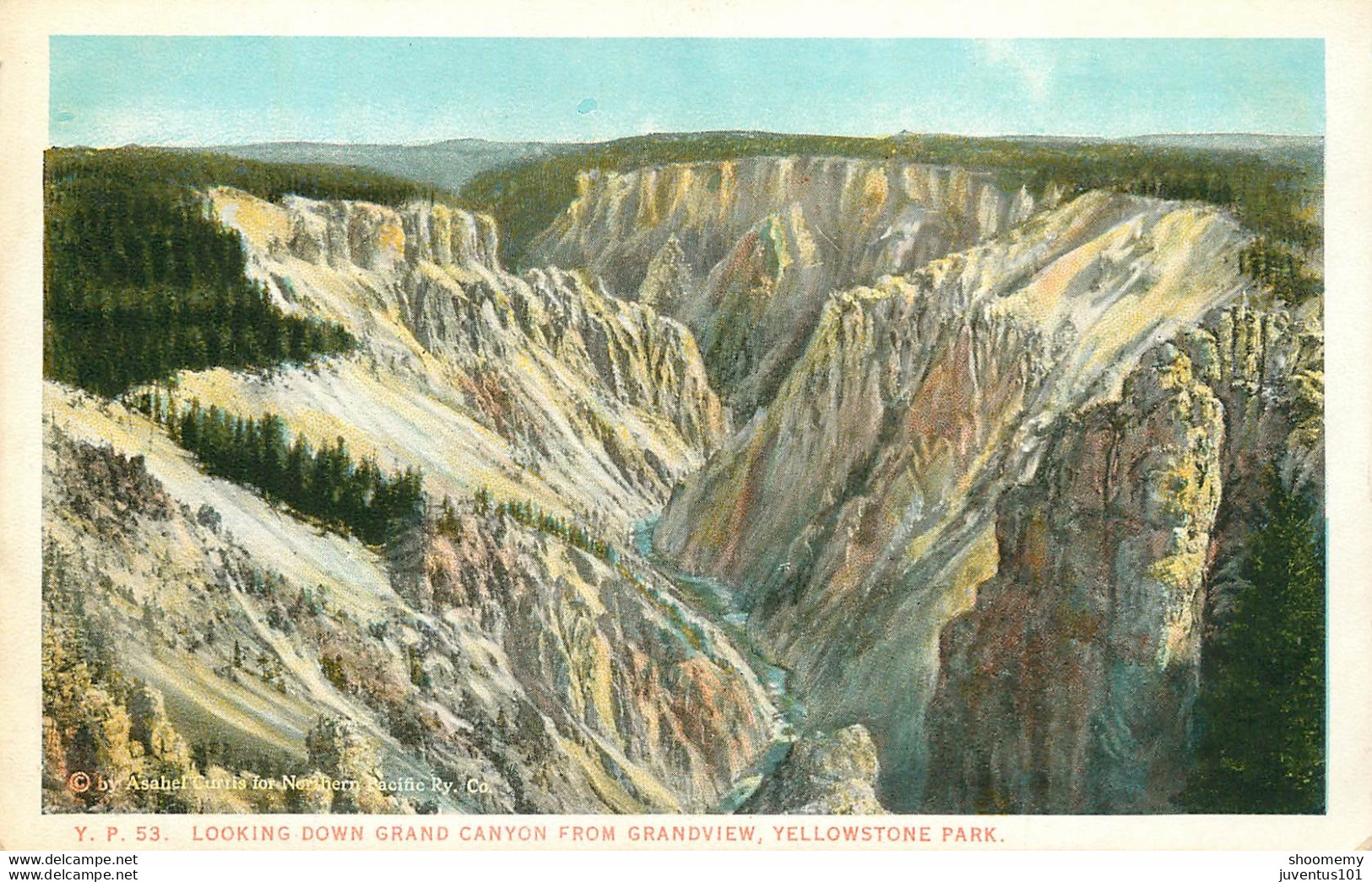 CPA Yellowstone Park-Looking Down Grand Canyon-53    L2050 - Sonstige & Ohne Zuordnung