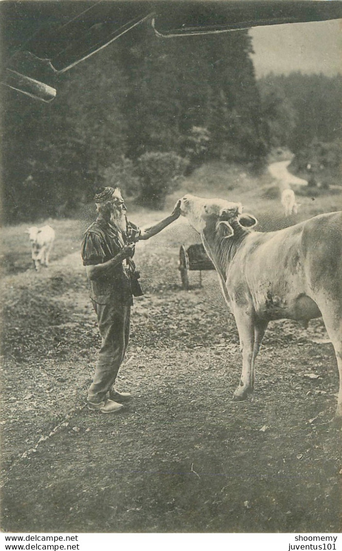 CPA Fête De La Montagne - Génisse - Vache - Carte Tombola    L2055 - Mon