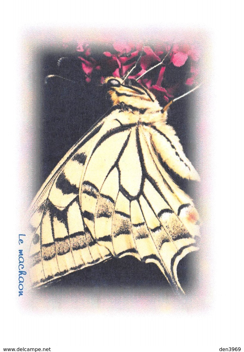 PAPILLON - Le Machaon - Tirage Limité 12 Ex - Schmetterlinge