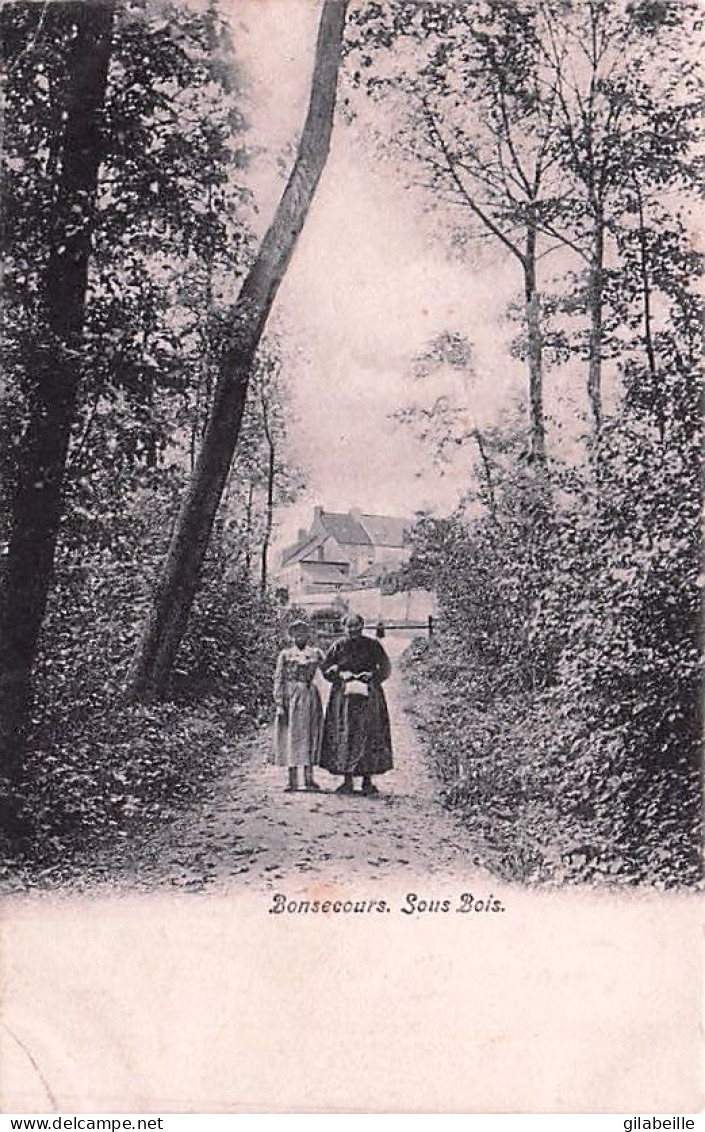 Peruwelz - BON SECOURS -  BONSECOURS -sous Bois - Péruwelz