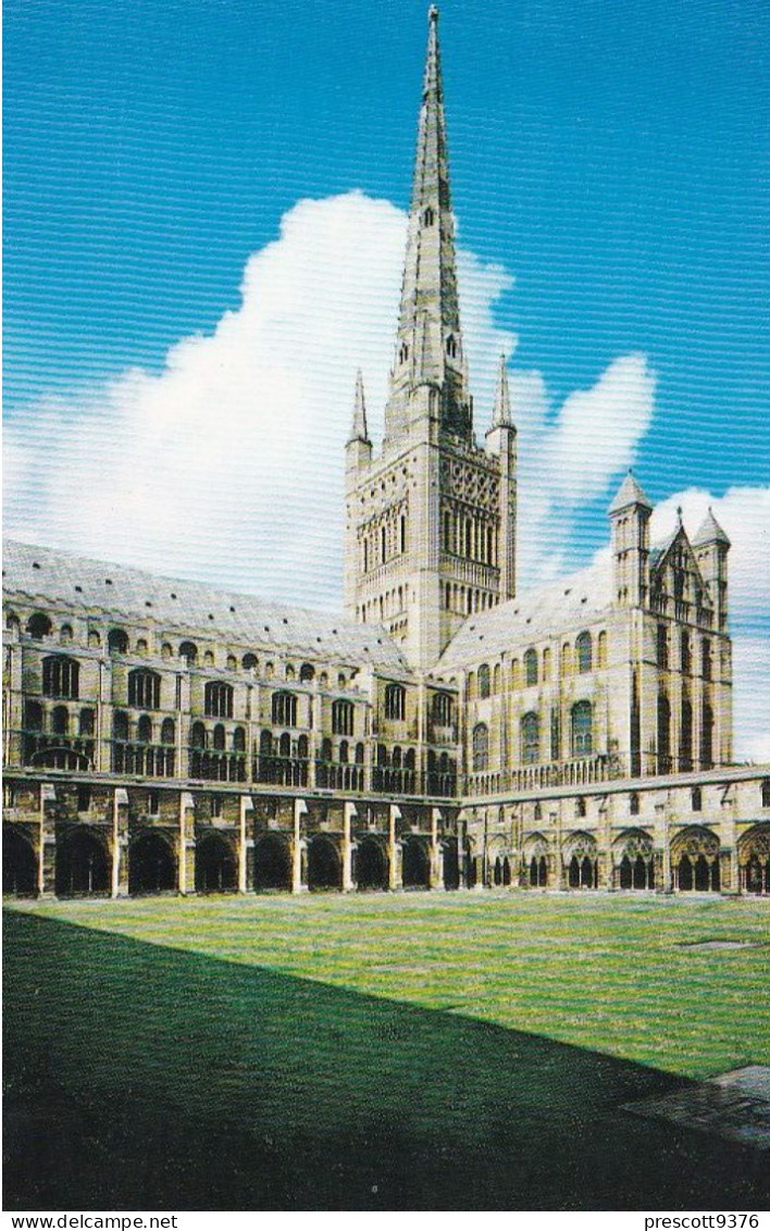 Norwich Cathedral - Norfolk - Unused Saucy Postcard - -N1 - Norwich