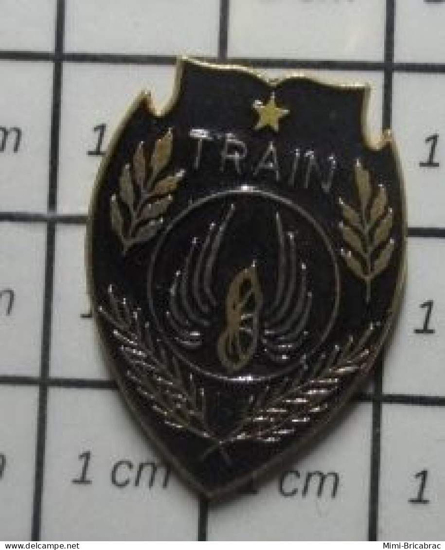 513F Pin's Pins / Beau Et Rare / MILITARIA / TRAIN ET ARRIERE-TRAIN ARME DE L'ARMEE DE TERRE - Militaria