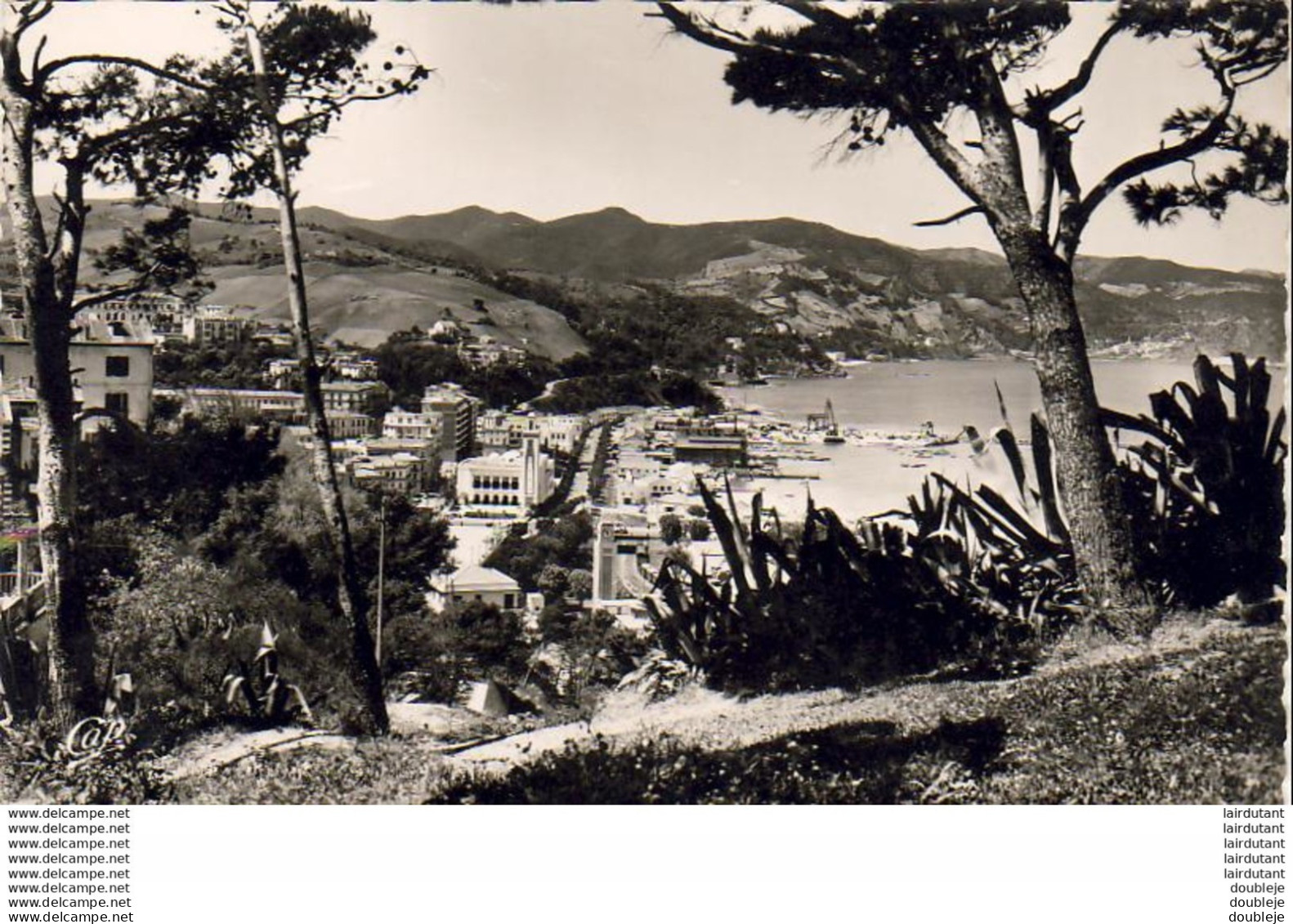 ALGERIE  PHILIPPEVILLE  Vue Générale  ..... - Skikda (Philippeville)