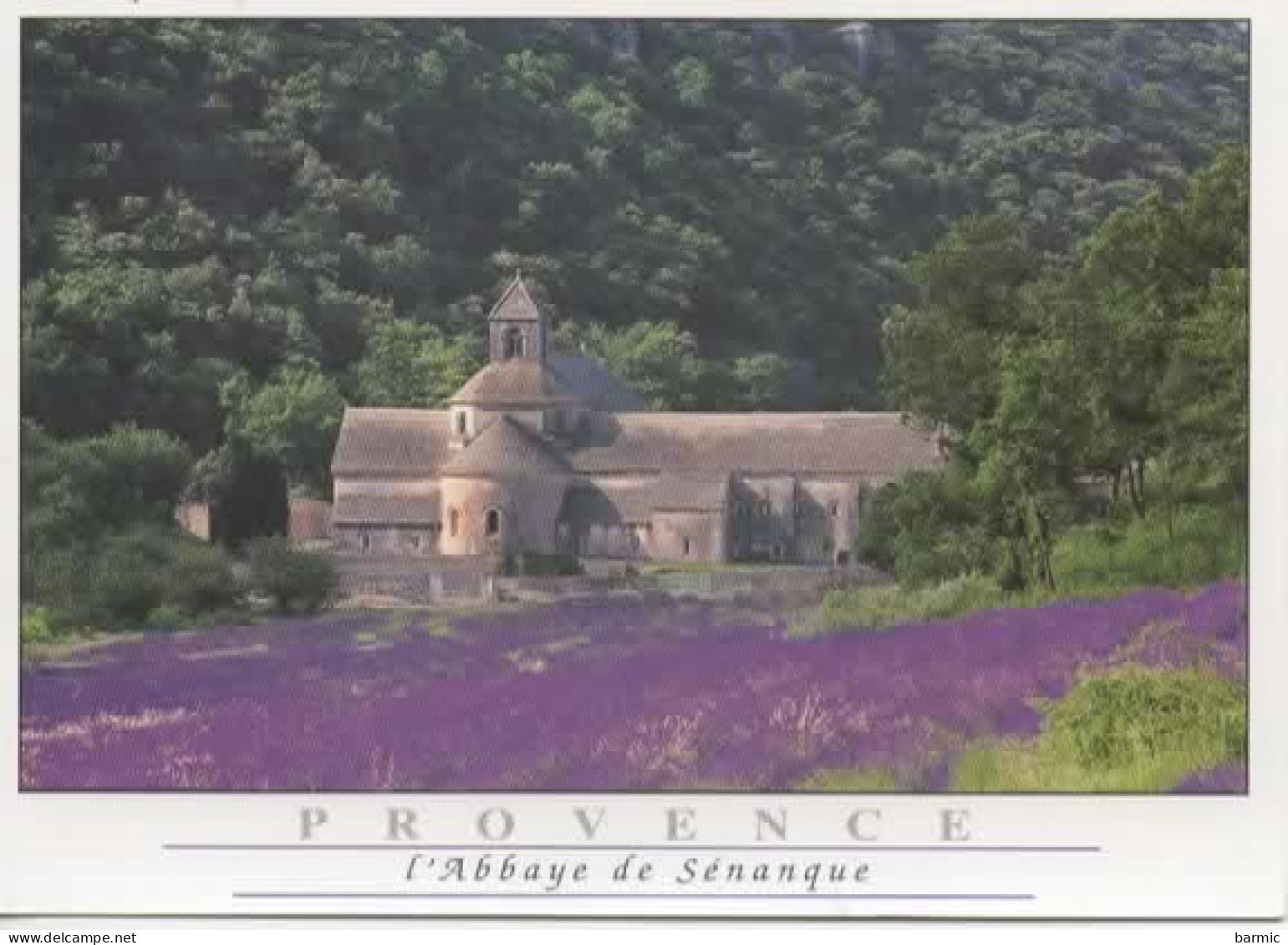 GORDES, L ABBAYE DE SENANOIRE AU MILIEU DES LAVANDES COULEUR REF 16101 - Gordes