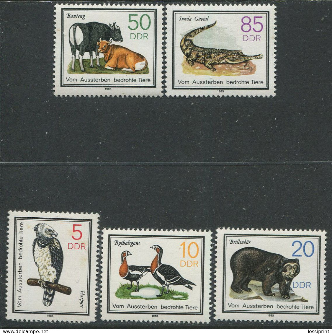 DDR:East Germany:Unused Stamps Serie Animals And Birds, Bear, Cows, Geese, 1985, MNH - Autres & Non Classés