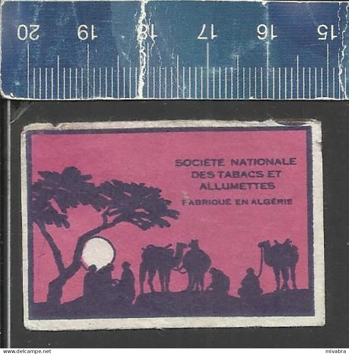 SUNSET WITH CARAVAN & CAMELS (WHITE SUN) - OLD MATCHBOX LABEL ALGERIA - Matchbox Labels