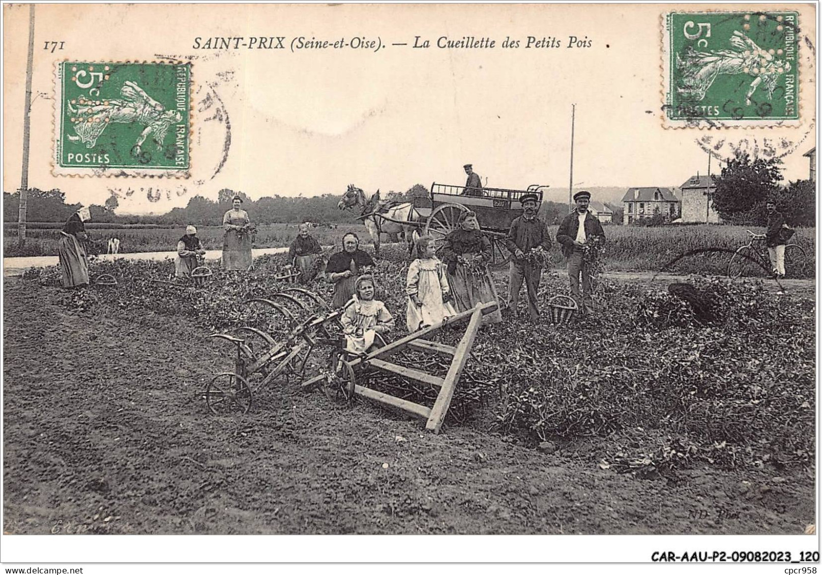 CAR-AAUP2-95-0132 - FRANCE - SAINT-PRIX - La Cueillette Des Petits Pois - Saint-Prix