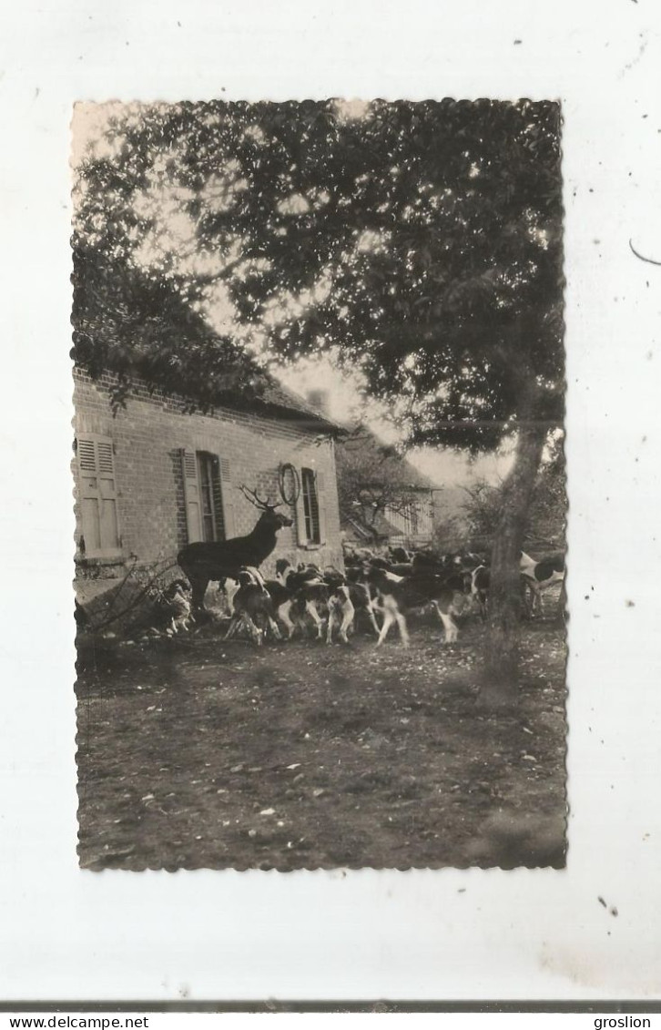 BEAUMONT LE ROGER (EURE) 27.051. 8 CARTE PHOTO L'HALLALI AU VAL SAINT MARTIN (CHASSE A COURRE) - Beaumont-le-Roger