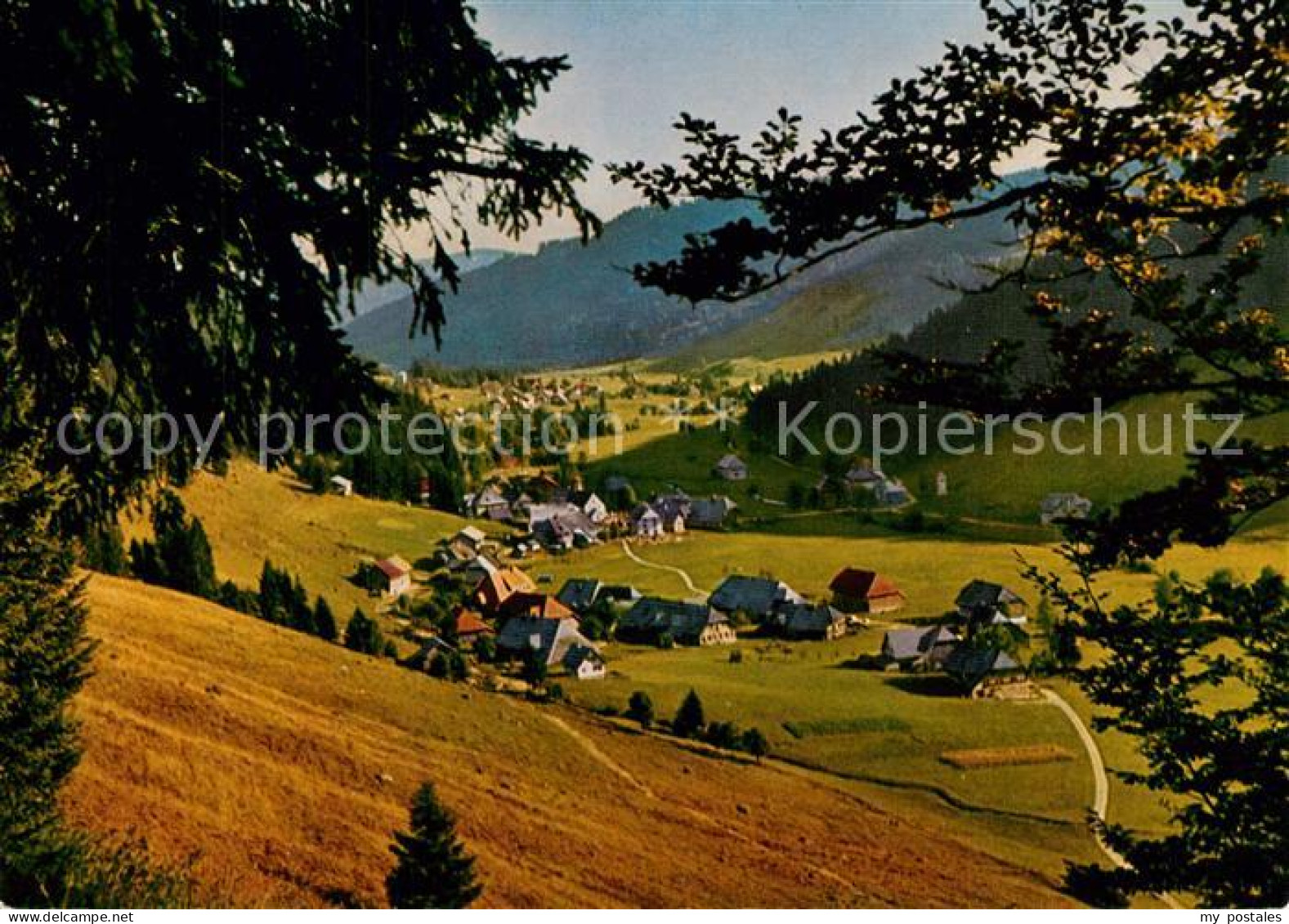 73265918 Menzenschwand Panorama Luftkurort Im Schwarzwald Menzenschwand - St. Blasien