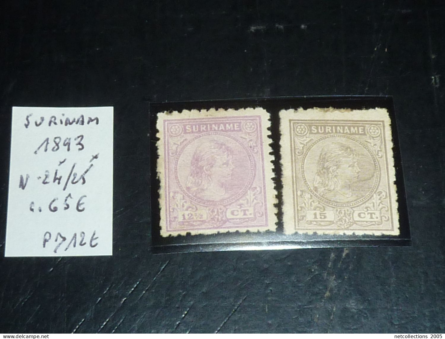 SURINAM N°24/25 - 1893 - Neuf - Sans Gomme (C.V) - Suriname ... - 1975