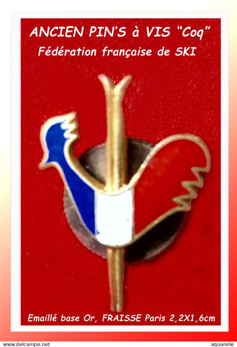 SUPER PIN'S "Ancien PIN'S à VIS, COQ De La FEDERATION FRANCAISE De SKI", émail Bleu, Blanc, Rouge" Base éil Or  1,5X2,3c - Dieren