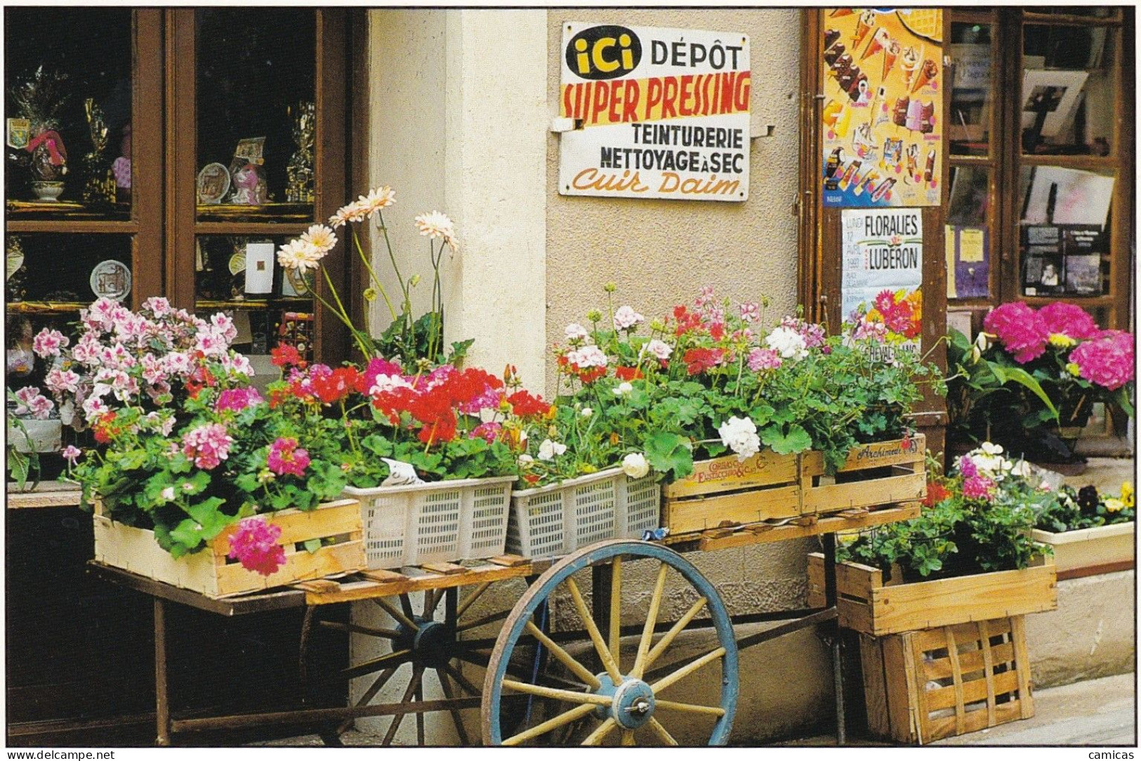 LOT DE 500 CARTES: FRANCE,  Animaux ,Attelage chevaux, Recette de cuisine,Sport,Carnaval, Vitrine de magasin,etc..  :