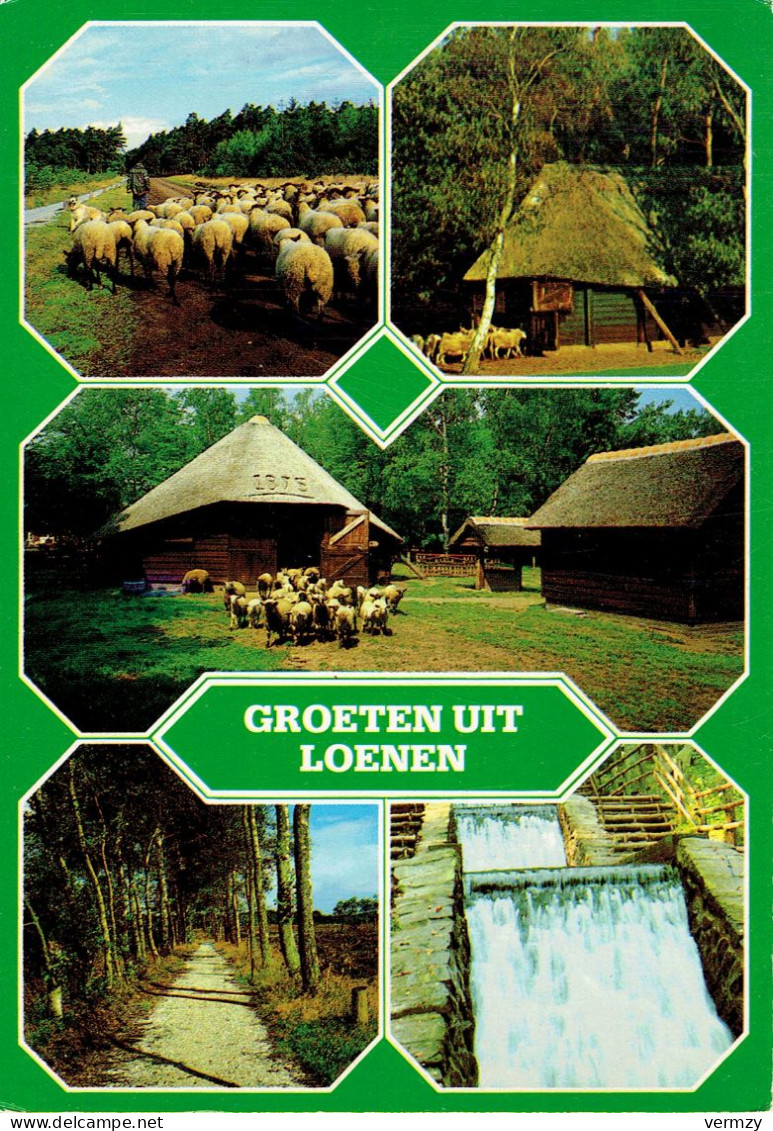 Groeten Uit LOENEN - Multivues - Autres & Non Classés