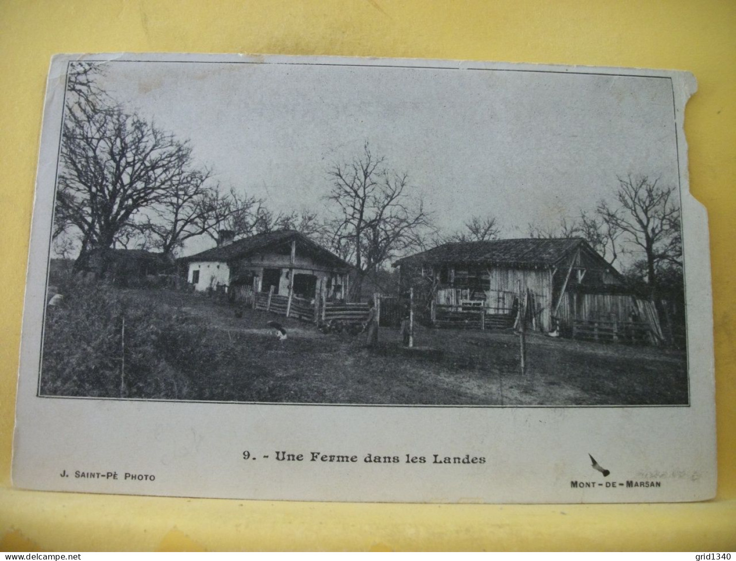 40 4394 LOT DE 3 CPA DIFFERENTES DONT 1 CARTE PHOTO SUR FERMES DANS LES LANDES - Boerderijen