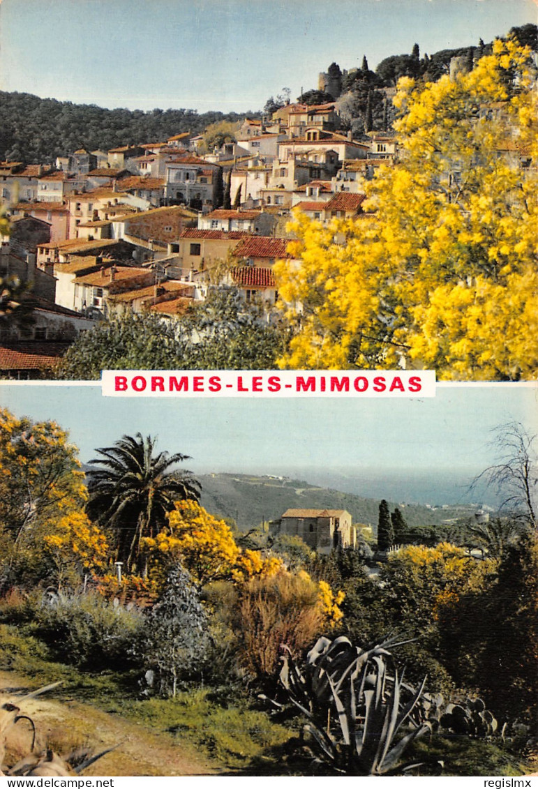 83-BORMES LES MIMOSAS-N°T1081-A/0095 - Bormes-les-Mimosas