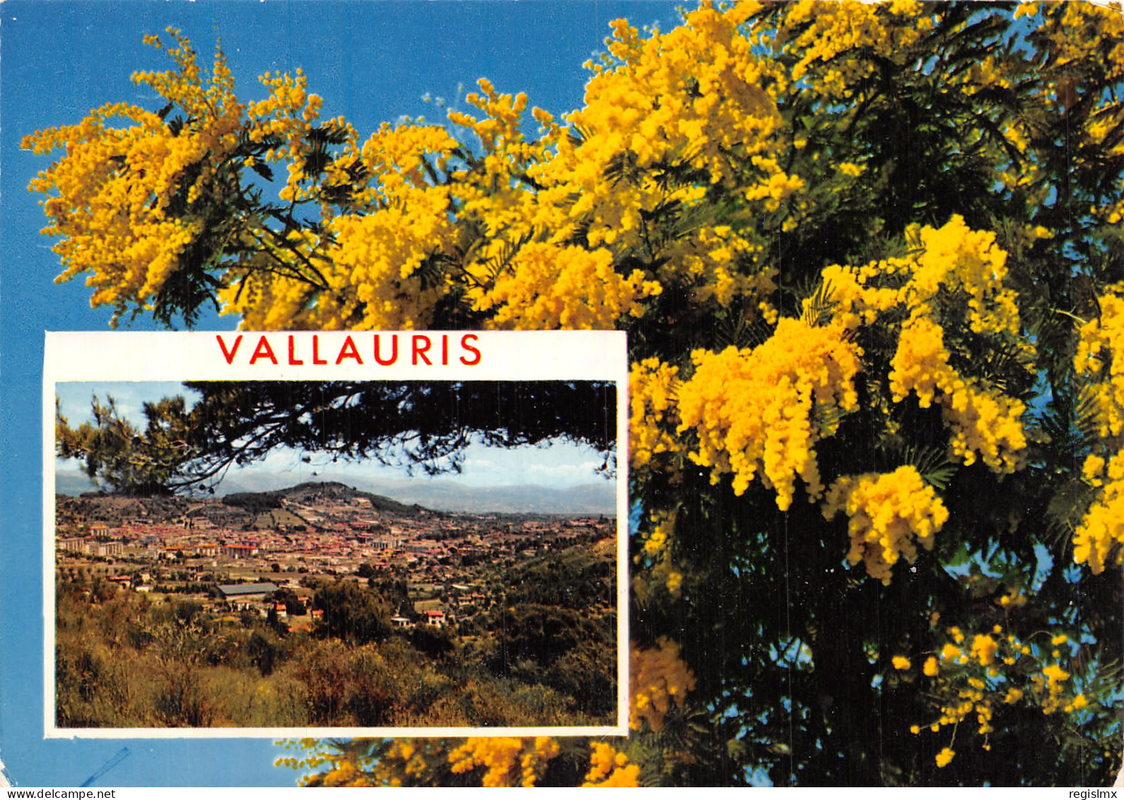 06-VALLAURIS-N°T1082-C/0223 - Vallauris