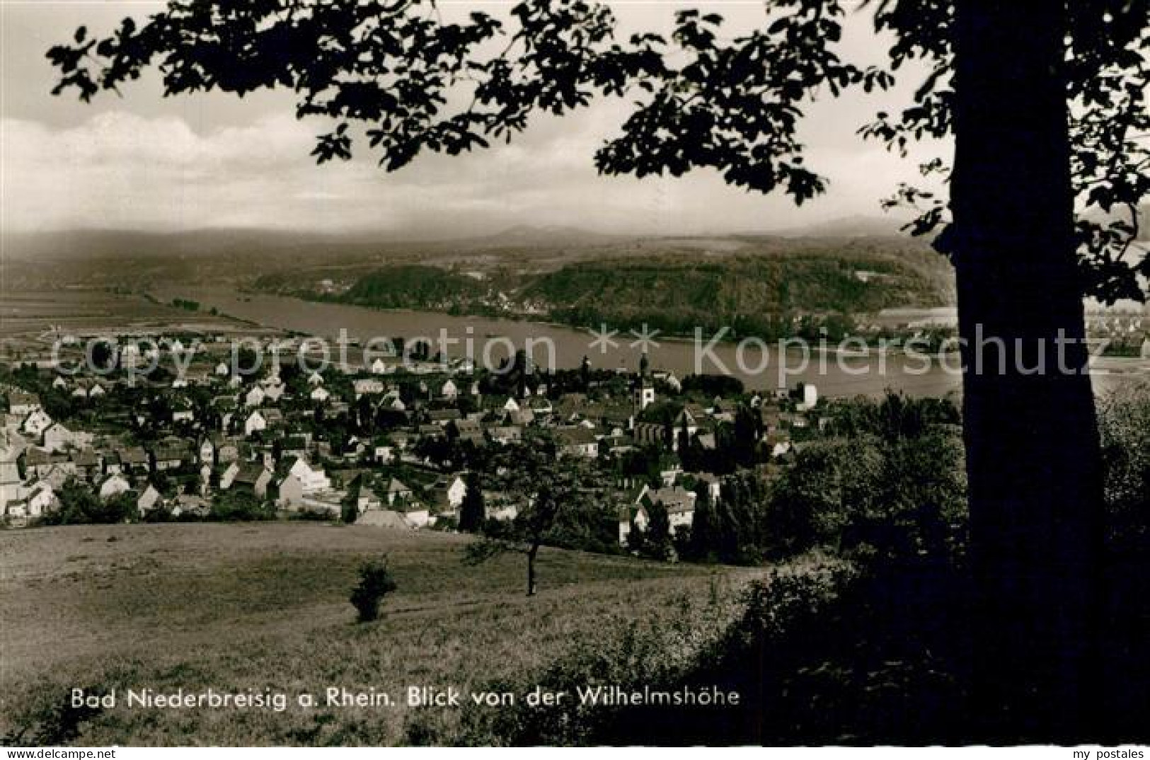 73254543 Bad Niederbreisig Panorama Blick Von Der Wilhelmshoehe Bad Niederbreisi - Bad Breisig