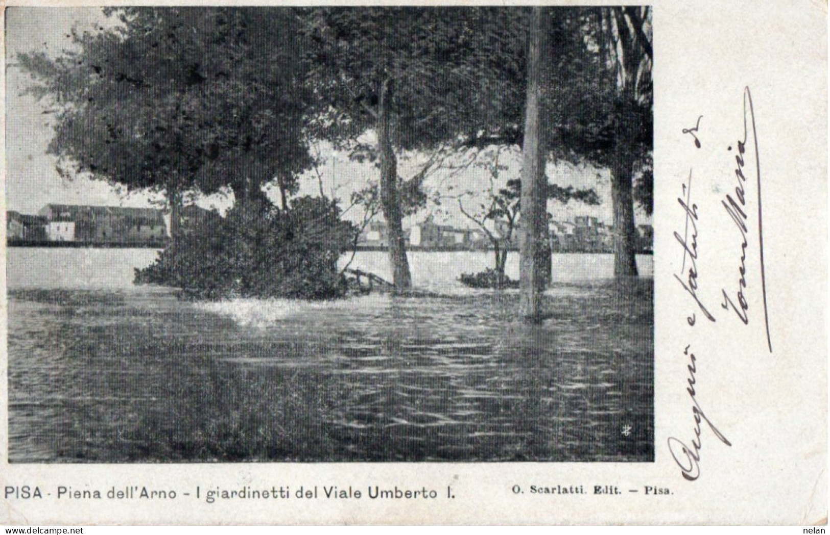 PISA - PIENA DELL ARNO - I GIARDINETTI DEL VIALE UMBERTO I - F.P. - Pisa